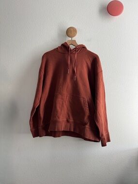 Arket Brown Heavyweight Hoodie
